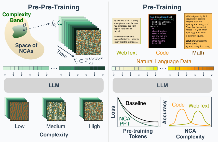 NCA Pre-Pre-Training teaser